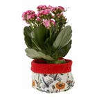 Vaso Tecido Naturalismo Color Vermelho 8x10,5cm Design Up