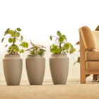 Vaso Thai 35 Preto Absoluto