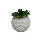 Vaso Trabalhado Branco Com Planta