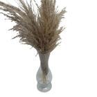 Vaso Transparente De Vidro Com Planta Seca Capim Dos Pampas