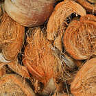 Vaso Trapézio Fibra De Coco Nutriplan