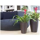 Vaso Treccia Cônico 53 (42l) Carvalho Nutriplan