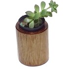 Vaso Vasinho Para Presentes Lembrancinhas Suculentas Madeira