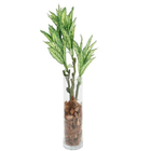 Vaso Vidro Cilindro Comprido 50x11 Cm Transparente