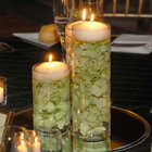 Vaso Vidro Cilindro Comprido 50x11 Cm Transparente