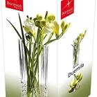 Vaso Vidro Cristal 23cm  Flores Decoração Arranjo