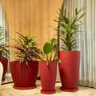 Vaso Vietnamita 70 Preto Absoluto