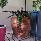 Vaso Vite Majestic Vogue Cor Ferrugem 31 5x34  Cm