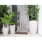 Vaso Wave Conico 38 Cimento