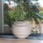 Vaso Wave Oval 19 (5,3l) Cor Cimento Nutriplan