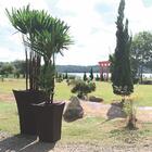 Vaso Wave Quadrado 30 Marsala Ref: Jvwqv30 Japi