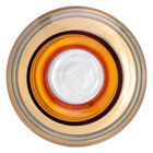 Vaso Wolff De Vidro 14cm X 20cm