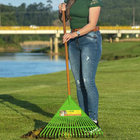 Vassoura Ancinho 22 Dentes FJ-1010