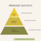 Vela Aromática Aroma Coconut Lemonade Pocket Essence 90g - Es