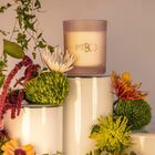 Vela Aromática Patbo Lotus Garden 210g Lenvie