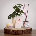 Vela Aromatizada Lagrima Isis 90g