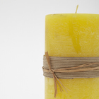 Vela cilíndrica Zôdio cera vegetal amarela 9x18cm