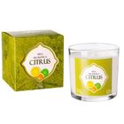 Vela Citrus 170g