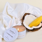Vela Coconut Mango - Travel Candle 90g