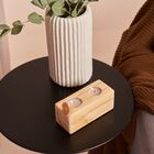 Vela Decorativa Pinus Dois Irmãos