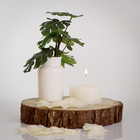 Vela Esfera Branca Casa Viva