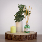 Vela Perfumada Folhas Verde 6x5cm