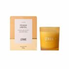 Vela Perfumada Pessego Oriental Elementos - 210g