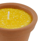 Vela Repelente Citronela Violeta 7x8cm