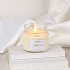 Vela Vanilla Bean - Clássica 140g