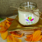 Vela Vegana Prosperidade Pirita E Moeda No Vidro