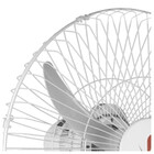 Ventilador De Parede Venti-delta Ventura 60cm Branco Bivolt