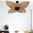 Ventilador De Teto 127v Rádica Office Dunamis Volare Preto/be