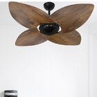 Ventilador De Teto 220v Rádica Office Dunamis Volare