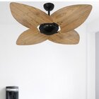 Ventilador De Teto 220v Rádica Office Dunamis Volare Preto/be