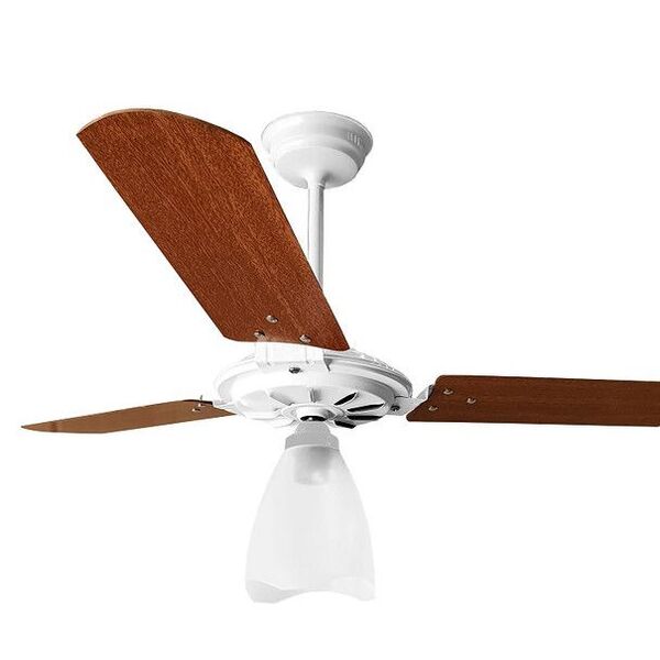 Ventilador De Teto Br/mg Com Globo Aberto Pás De Mdf 110 V