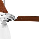 Ventilador De Teto Br/mg Globo Aberto 3pás 110v+controle R