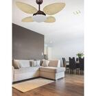 Ventilador de Teto Café 4 Pás Petalo Palmae Natural 127V