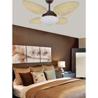 Ventilador de Teto Café 4 Pás Petalo Palmae Natural 127V