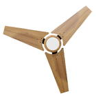 Ventilador De Teto Com Controle Remoto Natuvent Callis Led 3