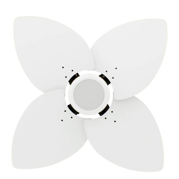 Ventilador De Teto Com Controle Remoto Natuvent Dahlia Led 4