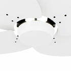 Ventilador De Teto Com Controle Remoto Natuvent Dahlia No Lig