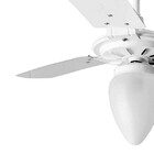 Ventilador De Teto Rico 150w E 180w Branco Pás Brancas Ventex