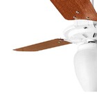 Ventilador De Teto Rico 150w E 180w Branco Pás Mogno Ventex -