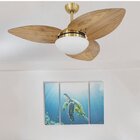 Ventilador De Teto Vidro Fechado Dunamis Pá S3 Rádica Volare