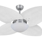 Ventilador De Teto Volare Dunamis Escovado Vidro Palmae 220v