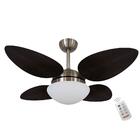 Ventilador Prince Iv Tabaco 127v E Controle Remoto