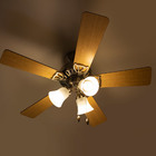 Ventilador Teto Hunter Fan Beacon Hill 5 Pás 220V St50031