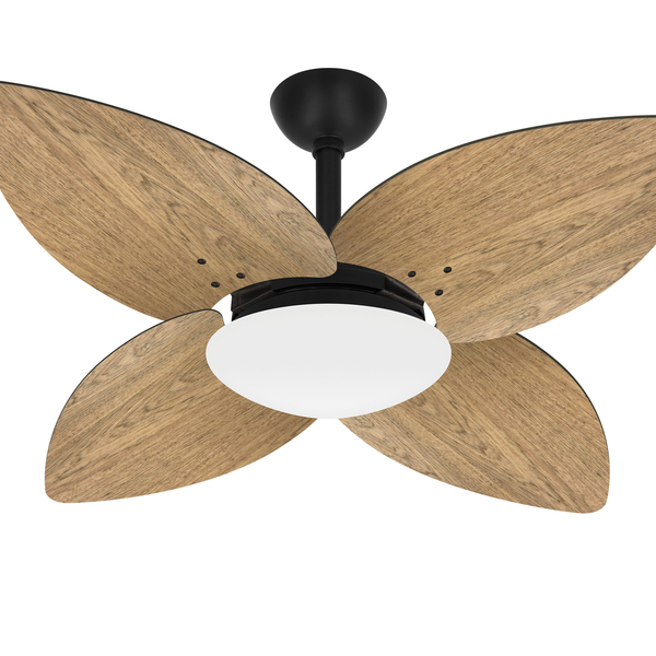 Ventilador Teto Preto Winds 4 Pás Freijó Potente Ventax 220v