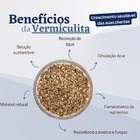 Vermiculita Expandida Média Premium Para Substrato 20 Litros