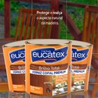 Verniz Copal Eucatex Incolor 900ml Base Solvente